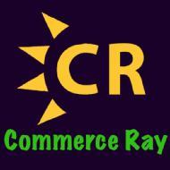 Commerce Ray Class 12 Tuition institute in Gurgaon