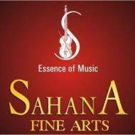Sahana Fine Arts Veena institute in Chennai