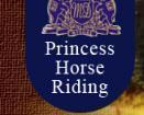 Princess Academy of Equitation institute in Bangalore