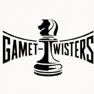 Gametwisters Chess Club Chess institute in Ghaziabad