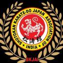 Photo of Ashokfighter Karate Institute