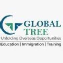 Photo of Global Tree Careers Pvt Ltd