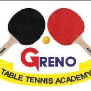 Greno Table Tennis Academy Table Tennis institute in Noida