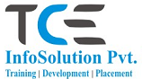 Tce .Net institute in Meerut