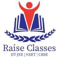 Raise Classes Class 12 Tuition institute in Delhi