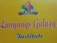 Language Galaxy Class 9 Tuition institute in Delhi