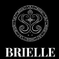 Brielle Placement Digital Marketing institute in Noida