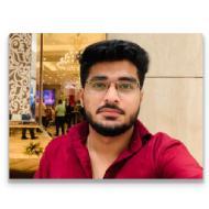 Mayank Anand BA Tuition trainer in Delhi