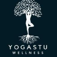 Yogastu Wellness Yoga institute in Chandigarh