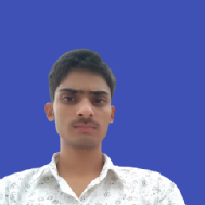 Anish Kumar Class I-V Tuition trainer in Noida