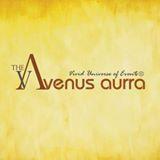 The Venus Aurra institute in Noida
