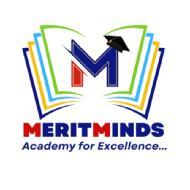 Merit Minds Class I-V Tuition institute in Delhi