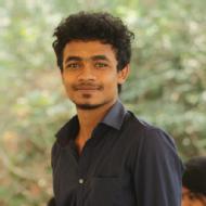 P V Ashwin Class 6 Tuition trainer in Chennai