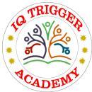 Photo of Iq Trigger Academy