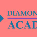 Photo of Diamond Dart Academy