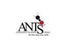 Photo of Ants Animation