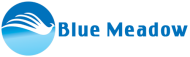Blue Meadow Private Limited Career Counselling institute in Mumbai