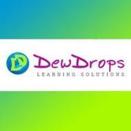 Dew Drops Child Healthcare Special Education (Mental Retardation) institute in Delhi