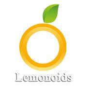 Lemonoids Digital Marketing institute in Hyderabad