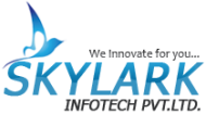 SkyLark Infotech pvt.ltd Search Engine Marketing (SEM) institute in Delhi