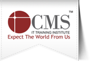 CMS .Net institute in Pune