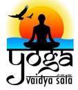 Photo of Yoga Vaidya Sala