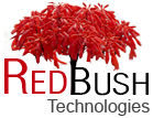 Redbush Technologies Pvt.Ltd Selenium institute in Gurgaon