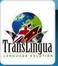 Photo of Translingua India