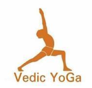 Vedic Yoga Yoga institute in Chandigarh