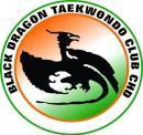 Photo of Black Dragon Taekwondo club