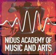 Nidus Academy of Music And Arts Drums institute in Ahmedabad