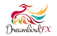Dream Bird FX Animation & Multimedia institute in Delhi