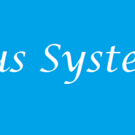 Paratus Systems Java trainer in Pune