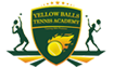 Yellow Balls Tennis Academy Tennis institute in Delhi
