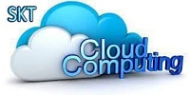 SKT Cloud Computing Salesforce Developer institute in Kanpur
