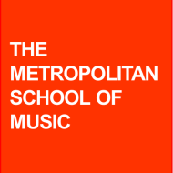THE METROPOLITAN SCHOOL OF MUSIC Violin institute in Gurgaon