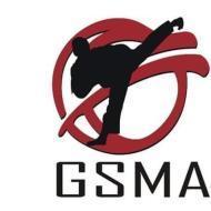Global School Of Martial Arts Kickboxing institute in Ghaziabad