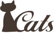Cats Learning Center Acting institute in Pune