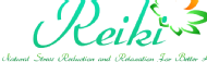 Vidya Sagar Institute of Reiki Reiki institute in Delhi