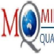 Mind Q Systems Selenium institute in Hyderabad