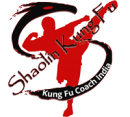 Photo of Shaolin Kung Fu Federation of India