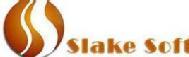 Slake Software Solution Online IT Training MS Office Software institute in Fort Wayne
