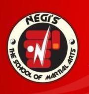 NEGIS THE SCHOOL OF MARTIAL ARTS Self Defence institute in Ghaziabad