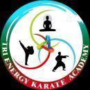 Photo of Tri Energy Karate Academy