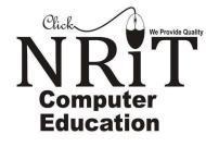 NRIT Computer Education Autocad institute in Mumbai