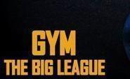 Gym The BIG League Gym institute in Delhi