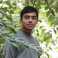 Naman Jain Embedded & VLSI trainer in Delhi