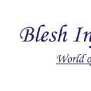 Photo of Blesh Infotech