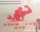 Adam and EvE GyM Aerobics institute in Gurgaon