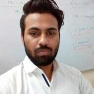 Rahul K. Class 11 Tuition trainer in Delhi